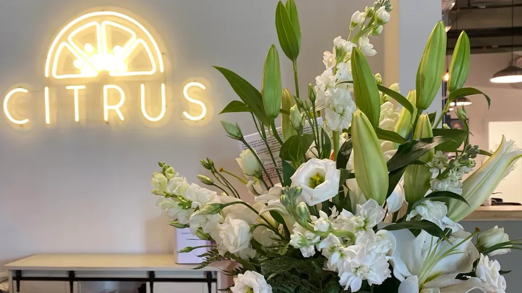 Citrus Aveda Salon - Downtown — Hair salon in Wilmington